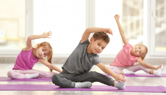 Beden Eğitimi & Jimnastik